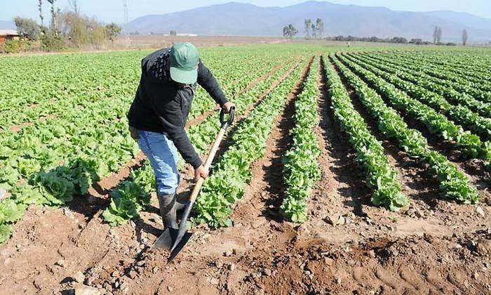 700x420_agricultores_2